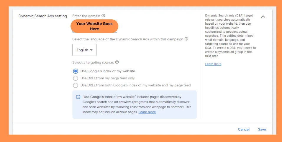 Dynamic Search Ads settings showing website URL configuration